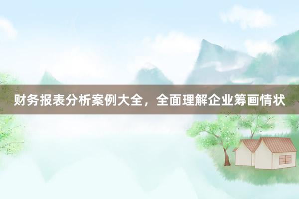 财务报表分析案例大全，全面理解企业筹画情状