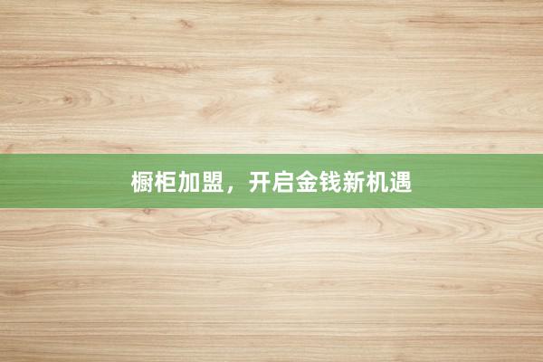 橱柜加盟，开启金钱新机遇