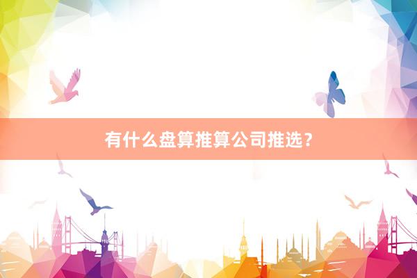 有什么盘算推算公司推选？