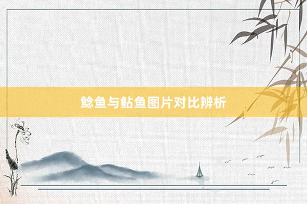 鲶鱼与鲇鱼图片对比辨析